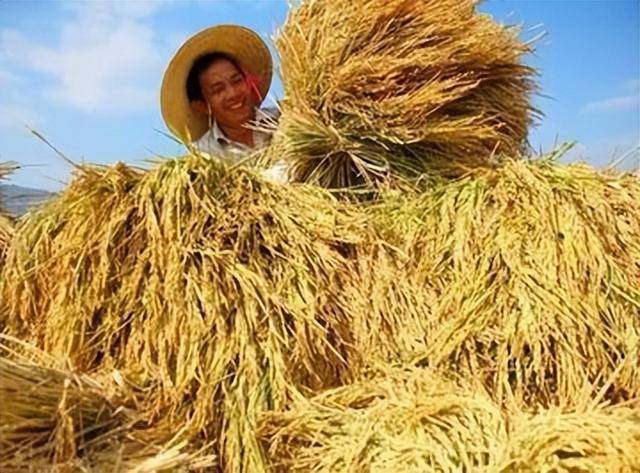 中国最不好惹的一个省 半个中国都要依赖它