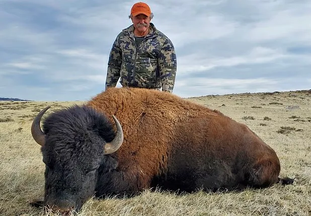5头大象踩死美千万富豪 评论区却刷屏“报应”
