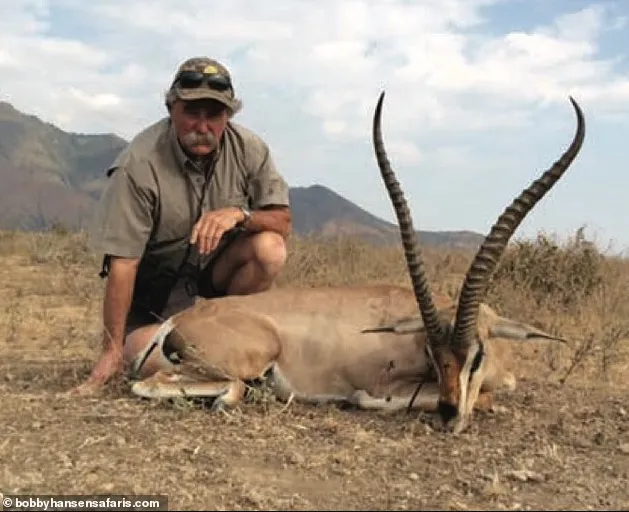 5头大象踩死美千万富豪 评论区却刷屏“报应”