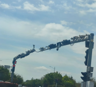 青岛城阳警方就“一道路立杆安装多部监控设备