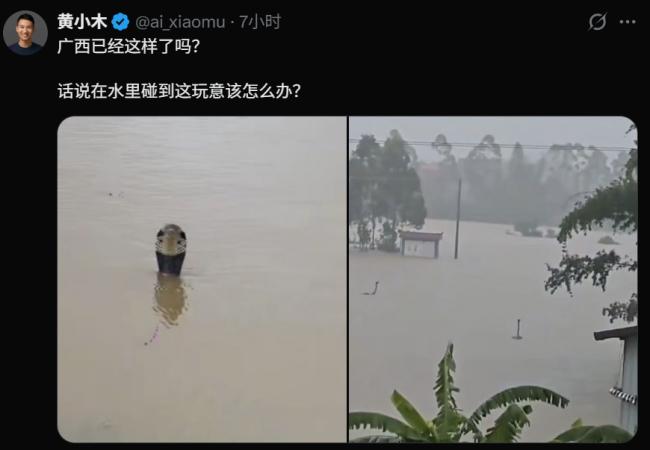 恐怖:广西养殖场被冲垮 大量眼镜蛇外逃 恐怖:广西养殖场被冲垮 大量眼镜蛇外逃
