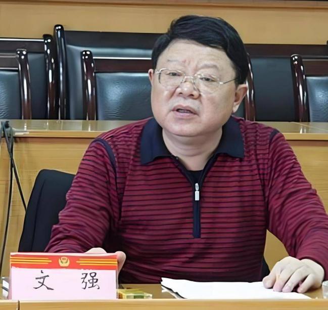 他是文强的儿子，16年后他的人生现状如何