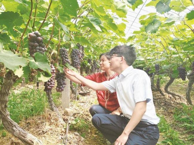那个被沙漠包围的小县城，如今现状如何