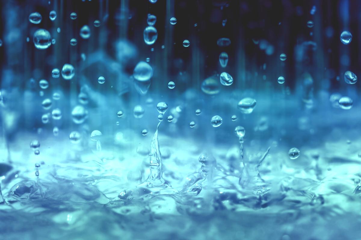 为何有些人能在下雨前闻到味道?